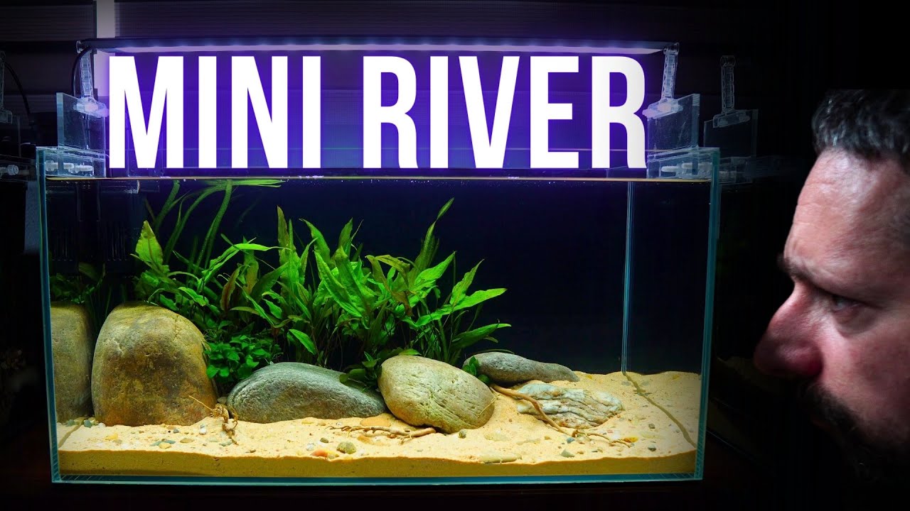 I made SIMPLE & EASY nano RIVER AQUARIUM | Step by step AQUASCAPING TUTORIAL | EP1