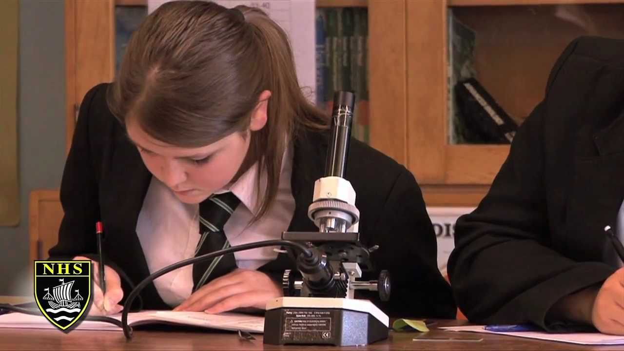 Neston High School: An Introduction