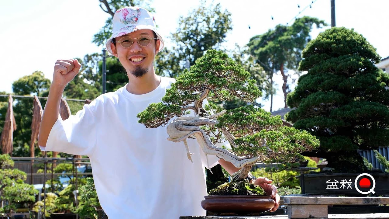 Создайте «XX», срезав листья памятного можжевельника? [Вопрос о бонсай]