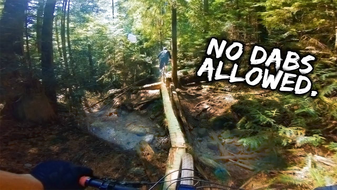 Boogieman is my Favourite Trail on Mount Seymour