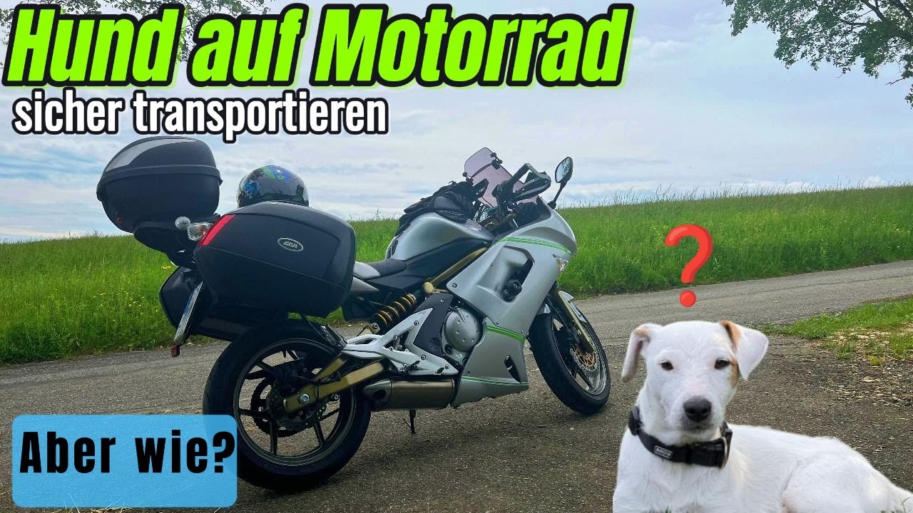 Hund auf dem Motorrad transportieren! Wie geht das ?