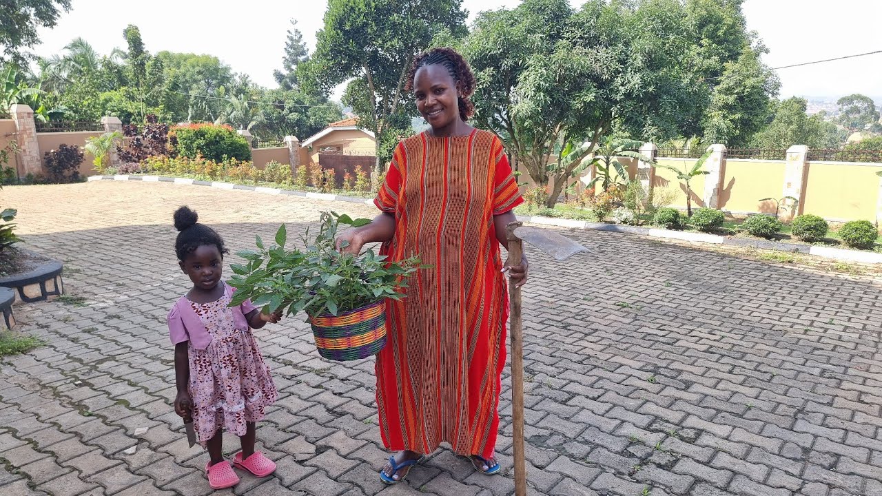 Peace Full Day in My African Village/Gardening and Planting Tomatoes +Cabbage in Countryside life 