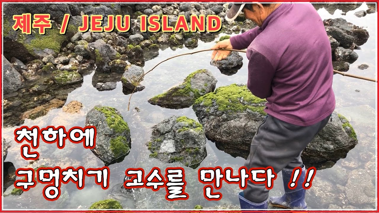 제주 구멍치기 낚시 고수를 영접하다.  local fishing professional / professional fishing / KOREA