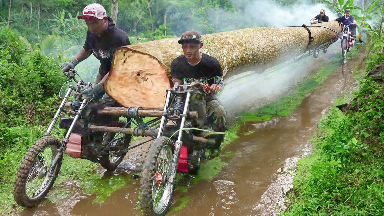 The Crazy Way They Transport Gigantic Logs From Deep Forest