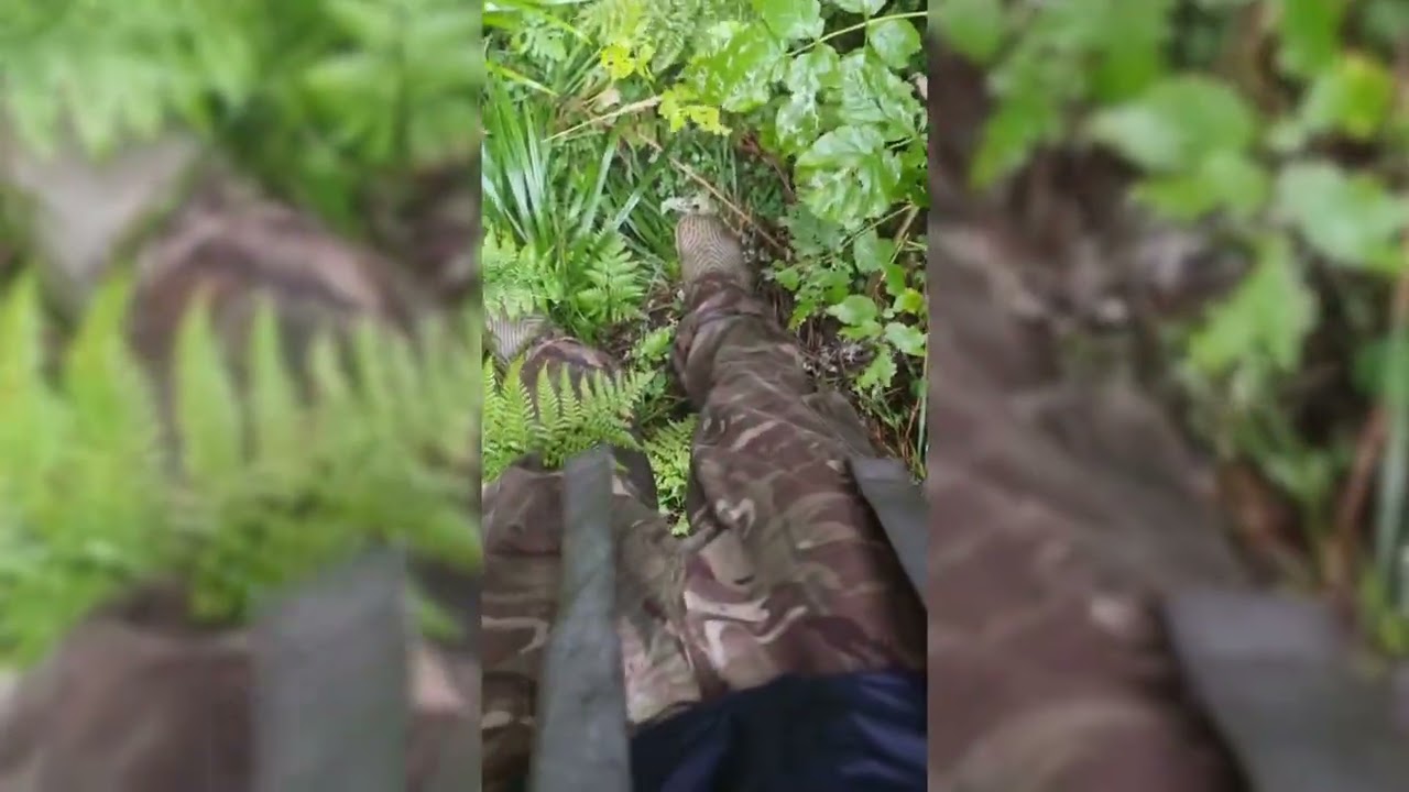 Втеча з війни: шлях через гори Чивчини в Румунію, шахрай з Азову. Кінець вересня 2025