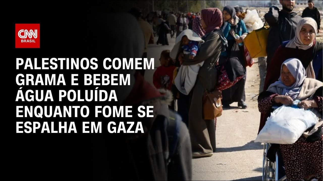 Palestinos comem grama e bebem água poluída enquanto fome se espalha em Gaza | BRASIL MEIO-DIA