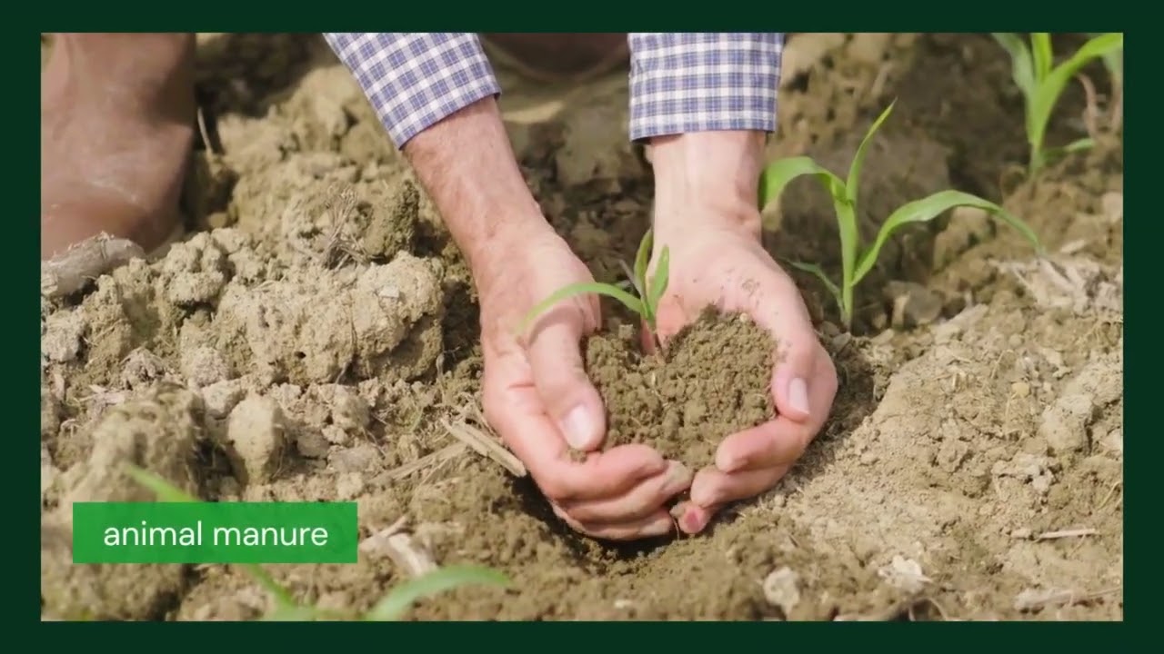 How to Nurture your planting journey from seeding to harvest