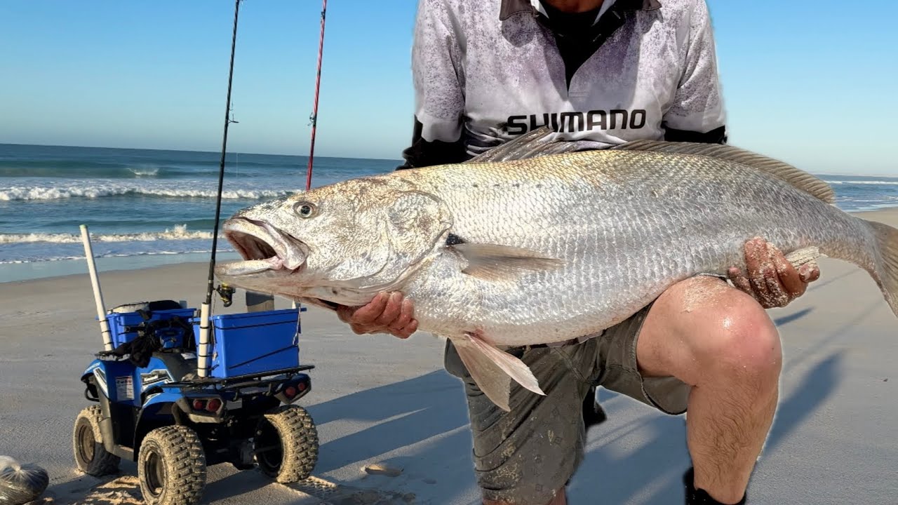 Mulloway Fishing Nov 2025