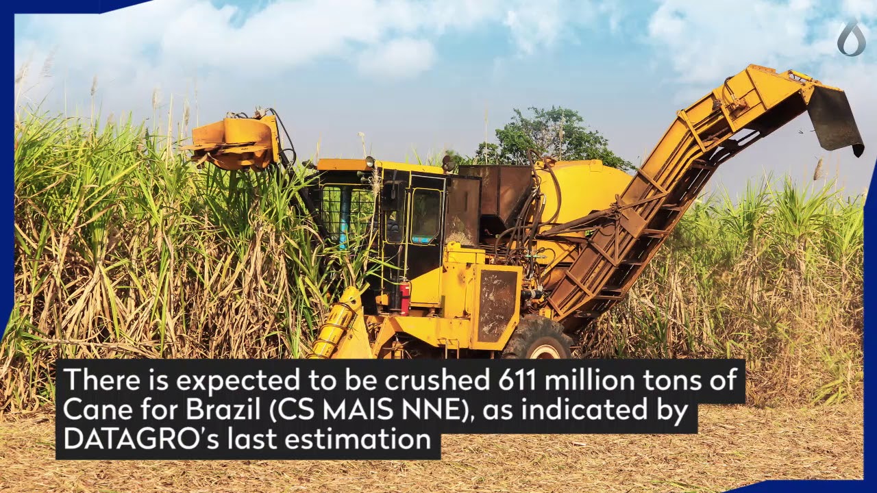 DATAGROSP | Surplus in the sugar production and its price movement (English version)