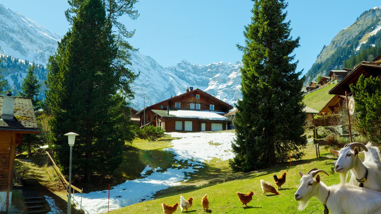 Life in the Swiss Mountain Village | Alpine Paradise in Switzerland Countryside