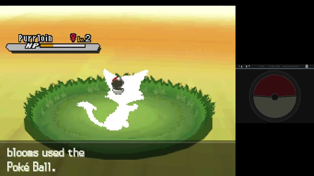 Pokemon White 2 - #2 - Route 19 & Floccesy Town