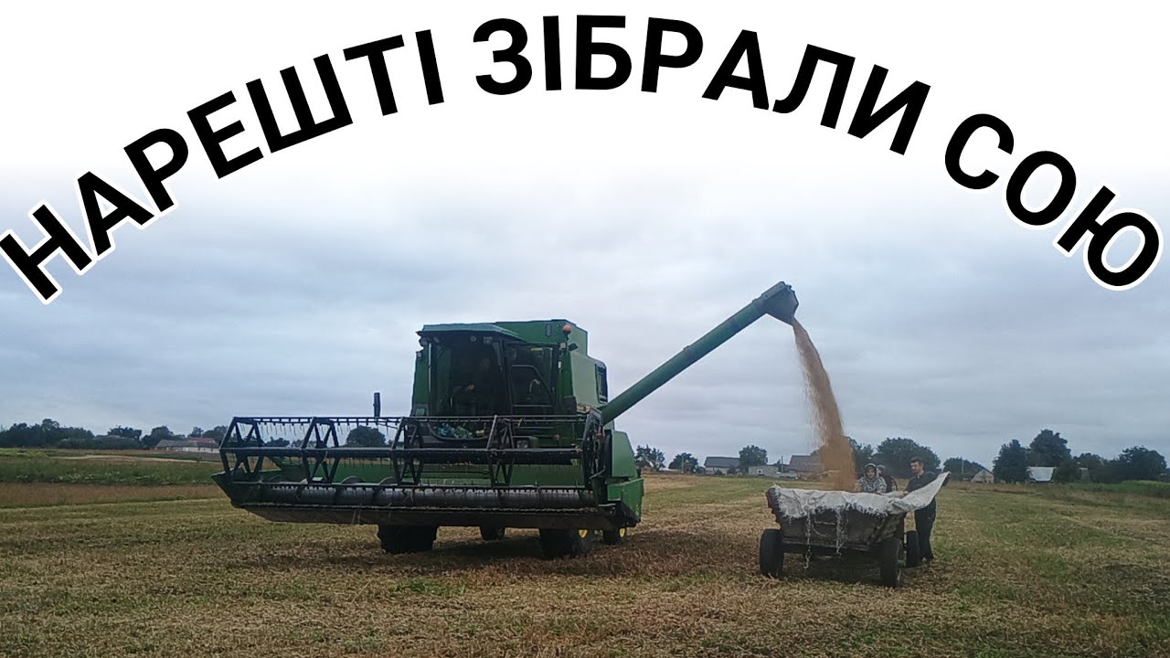 Жнива сої 2025. У горе фермера соя сипе.