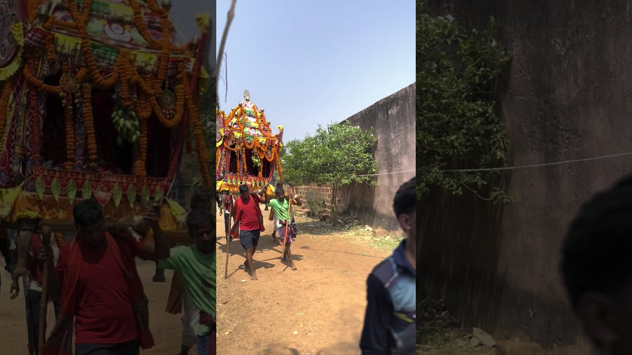 Dola purnima Jorakani II #shorts #short #dolajatra
