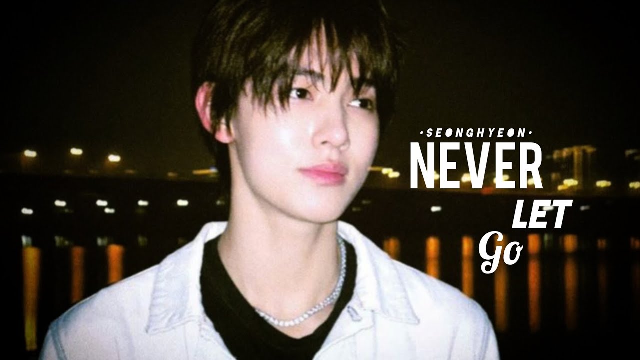 Never Let Go | SEONGHYEON 【FMV】