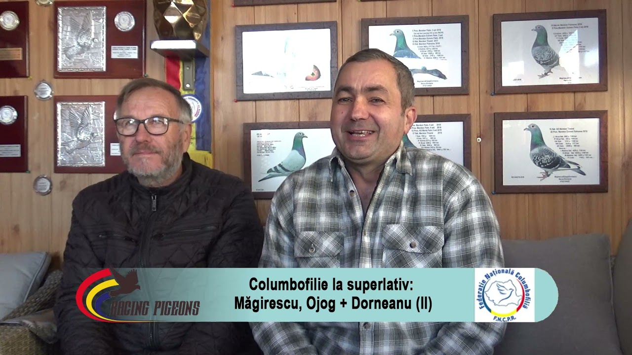 Columbofilie la superlativ: Măgirescu, Ojog + Dorneanu (partea II-a)