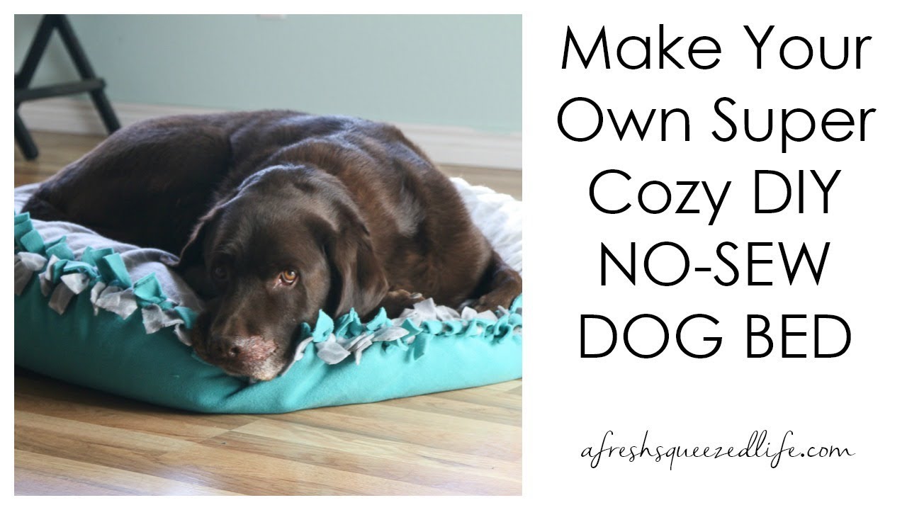 HOW TO MAKE A DIY NO SEW DOG BED