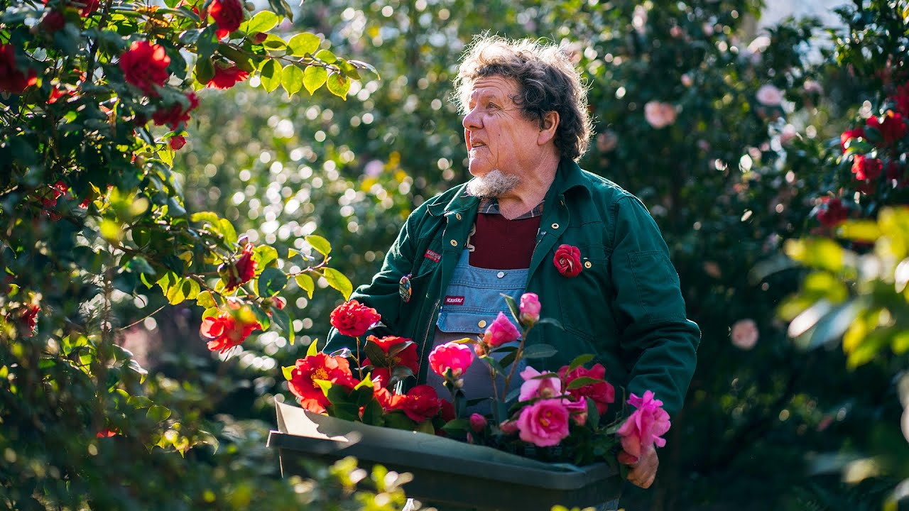 Stories - A jewel right in the heart of the city