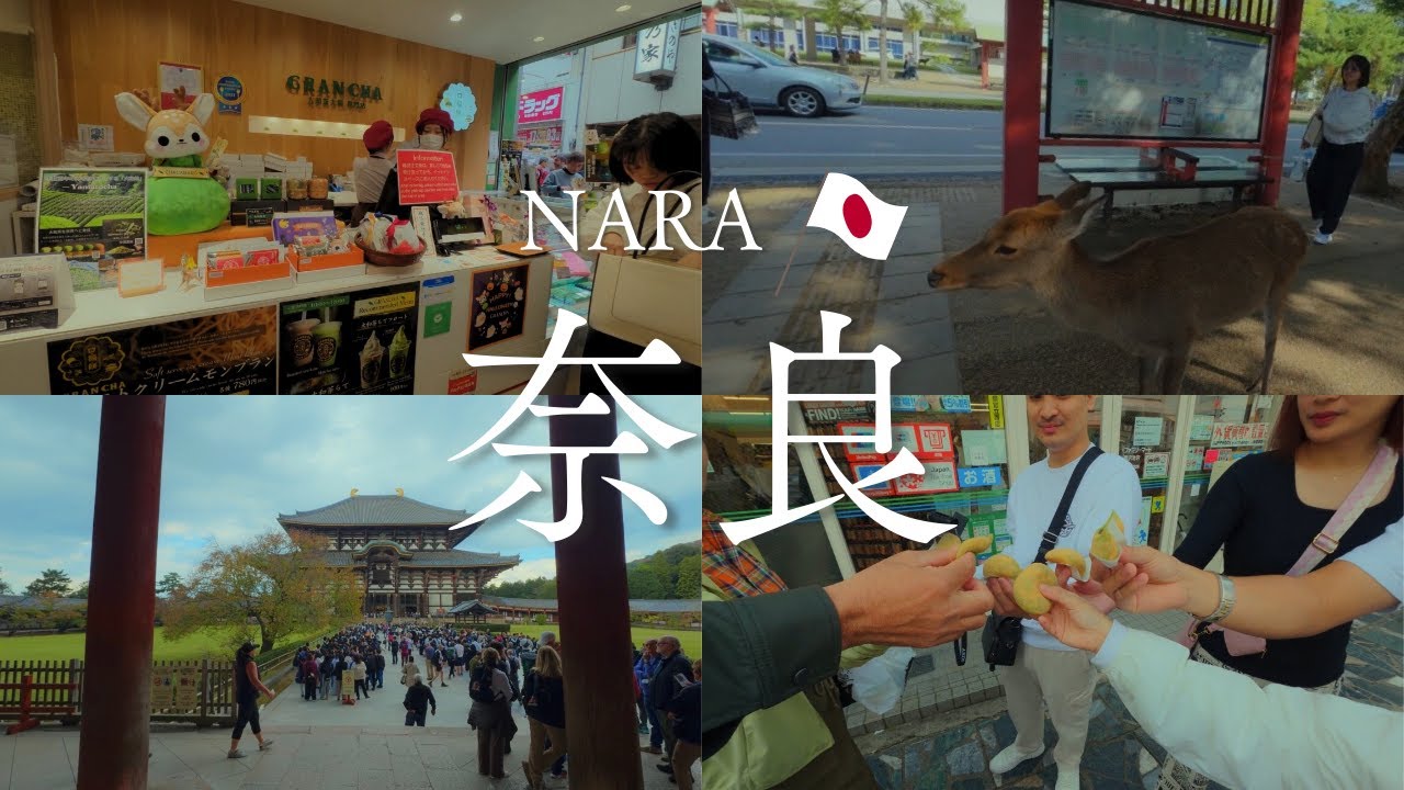A whole day trip in Nara, Japan | Temples | Deers | Foods