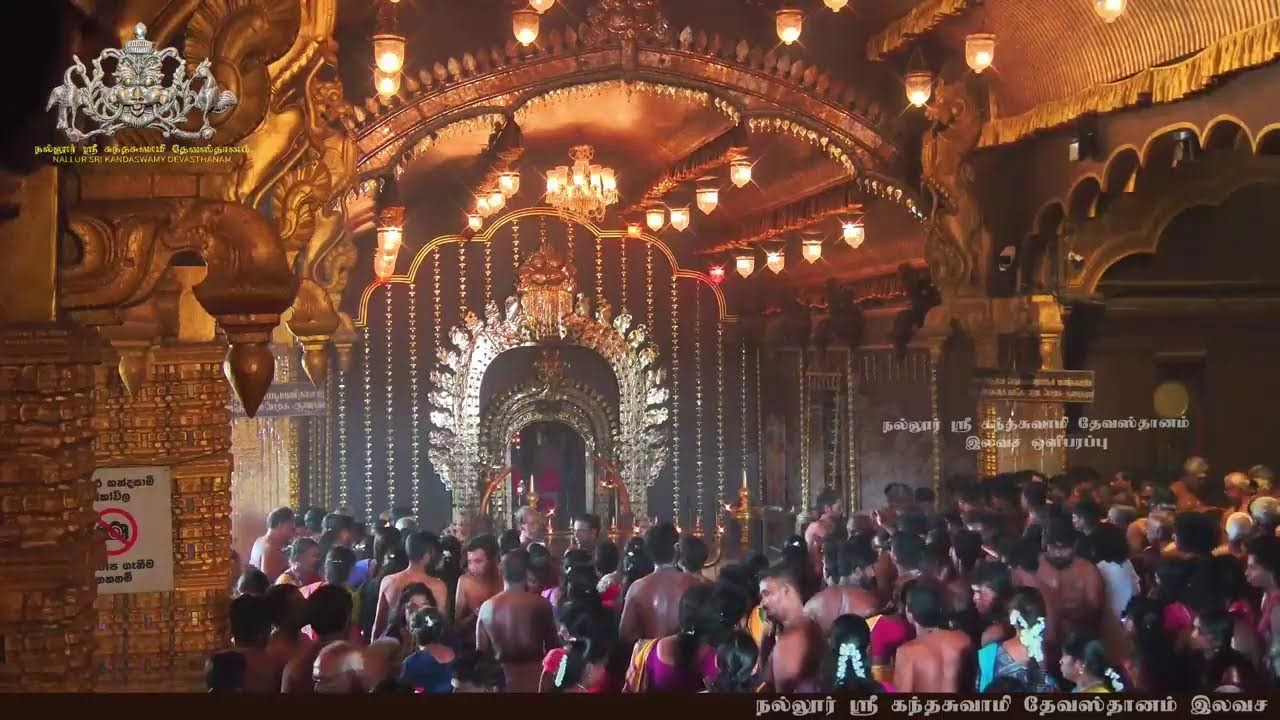 நல்லூர் ஸ்ரீ கந்தசுவாமி தேவஸ்தான 2025ம் ஆண்டு ஸ்கந்தசஷ்டி 6ம் நாள் காலை உற்சவம்  - 27.10.2025