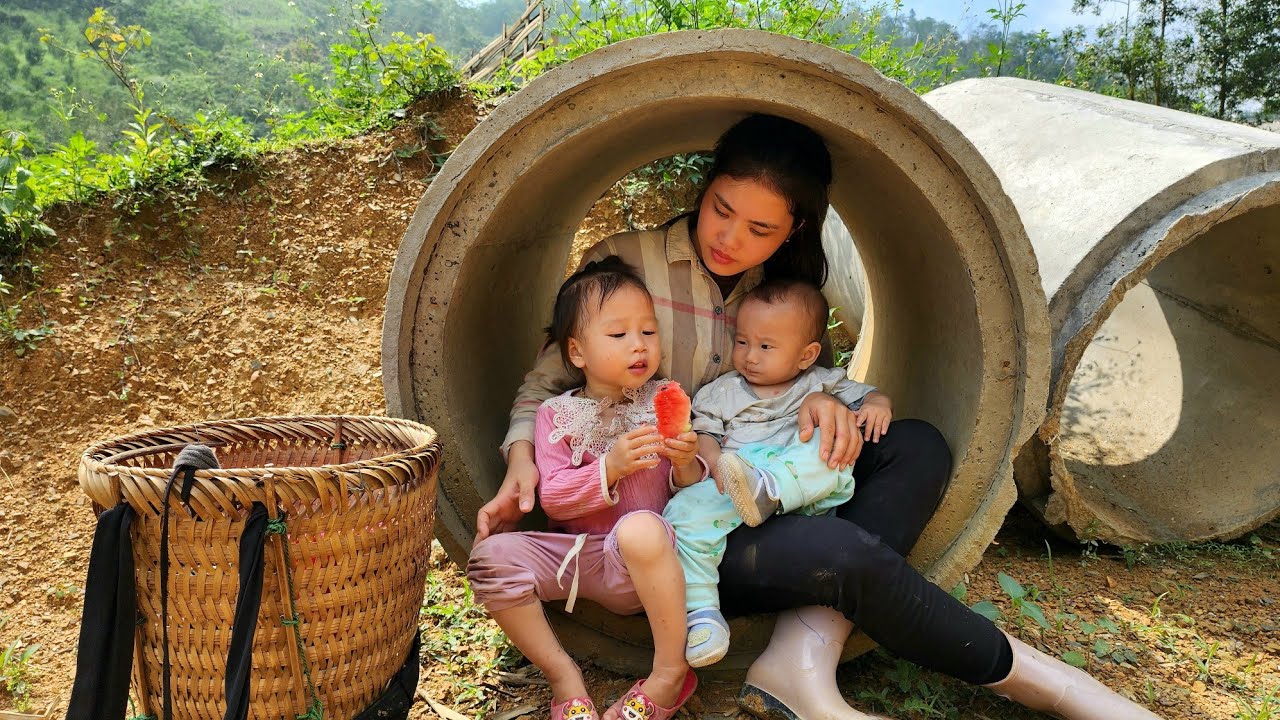 FULL VIDEO 150 DAYS: Single girl harvest everything to sell to raise 2 children (Fruit, Agriculture)