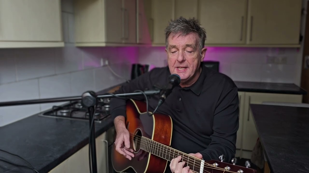 you dont have to say you love me  / Elvis acoustic cover
