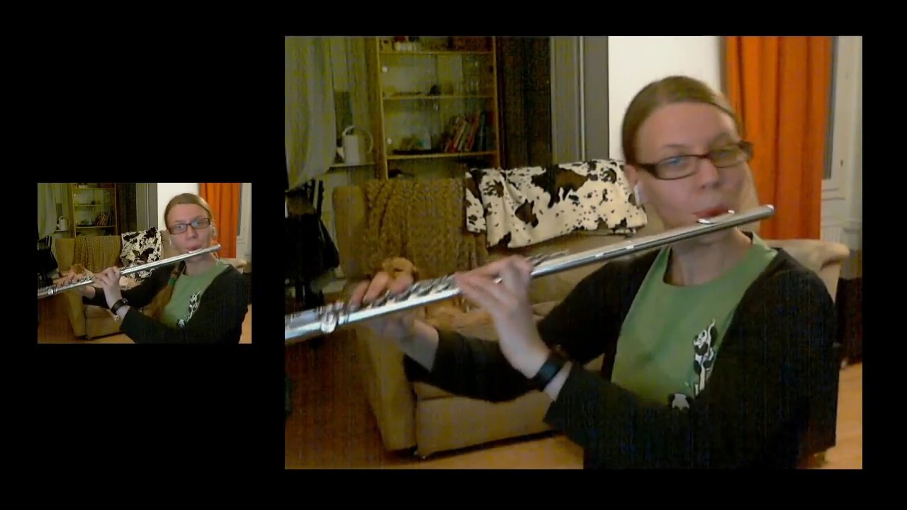 Megalovania from Undertale, flute cover