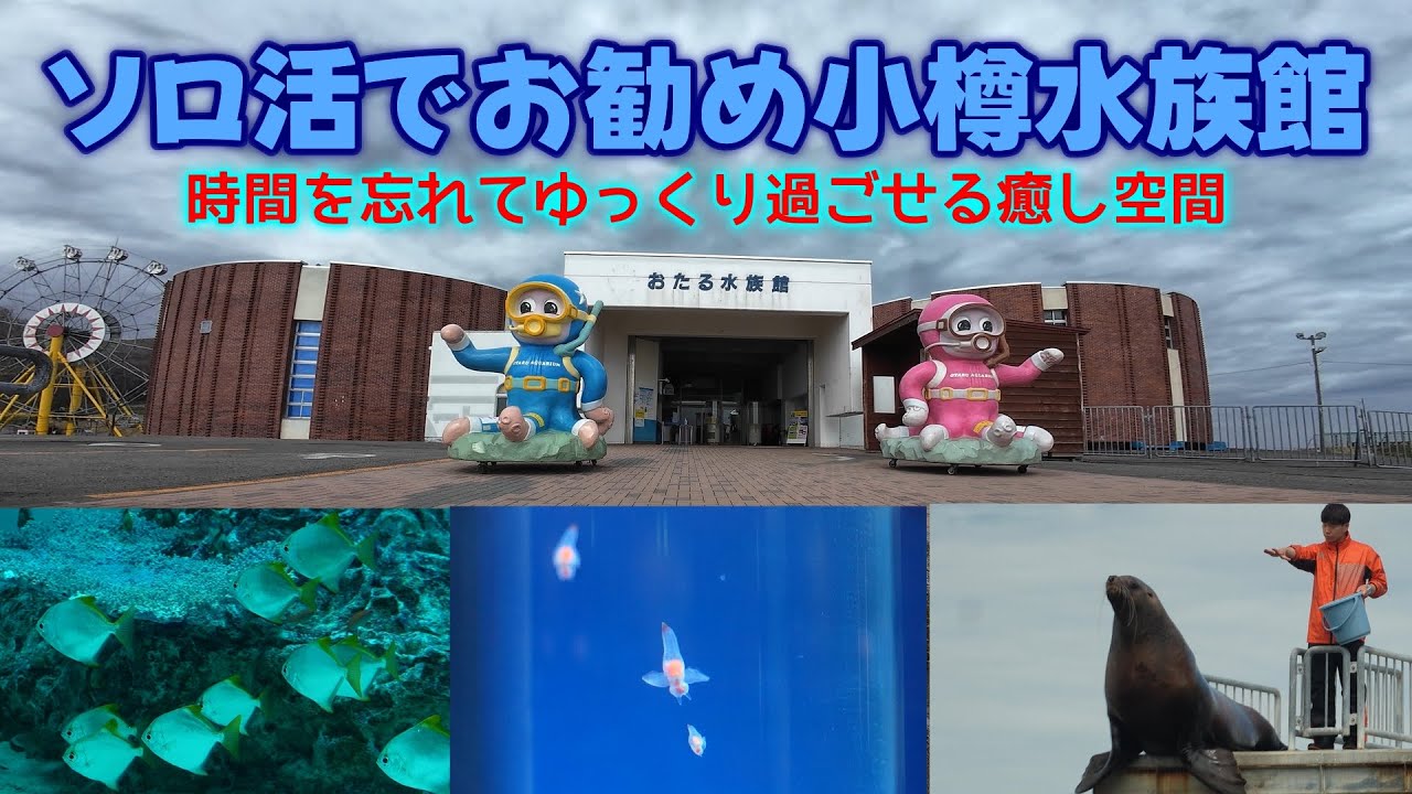 【おたる水族館】時間を忘れリラックスできました。ソロ活動にお勧め。