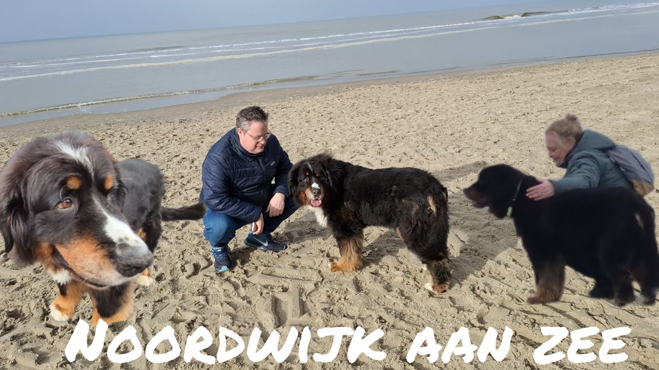 Nachtje Noordwijk aan zee en vakantieplannen 2026!