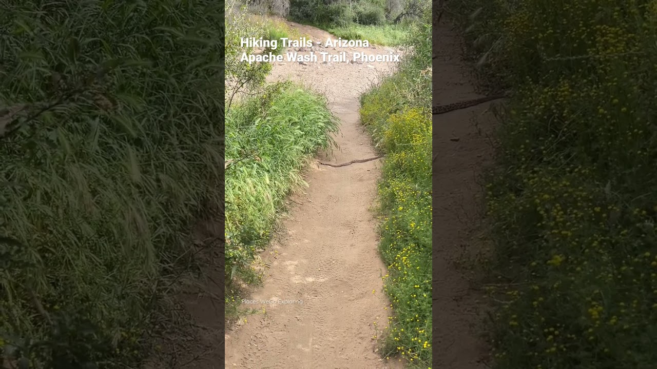 🇺🇸USA🇺🇸 A rattler on the trail in Arizona #hikingtrails #apachewash #azhiking #placeswegoexploring