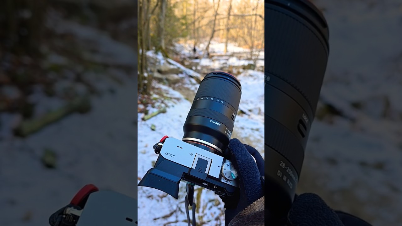 ТЕСТ ЗУМ-объектива Tamron 28-200mm на 200 мм с использованием Sony a7C2 (a7iv*) #камерныеобъектив...