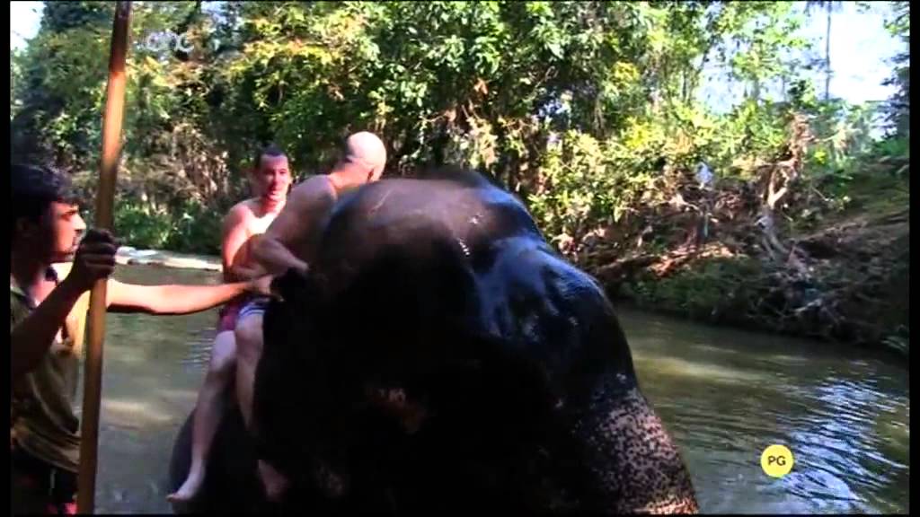 Liquorish 2015 - Pinnawala Elephant Orphanage (Week 8-9)