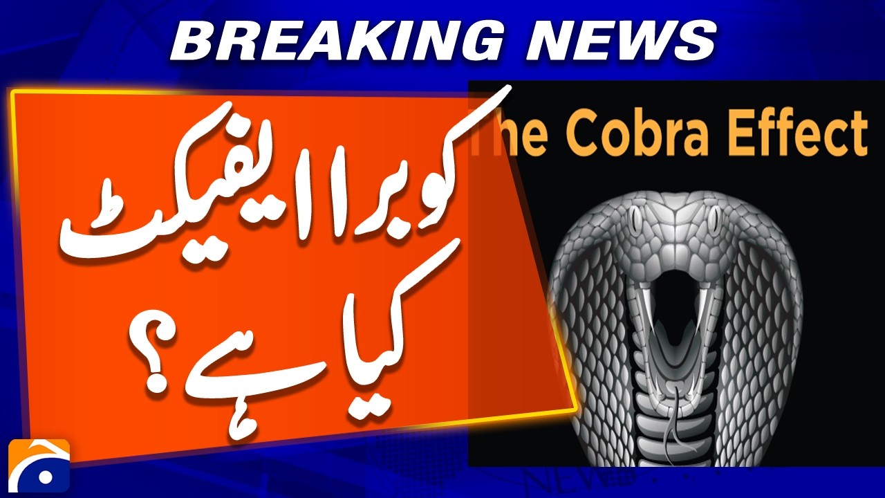 What is the Cobra effect ? | Geo Digital