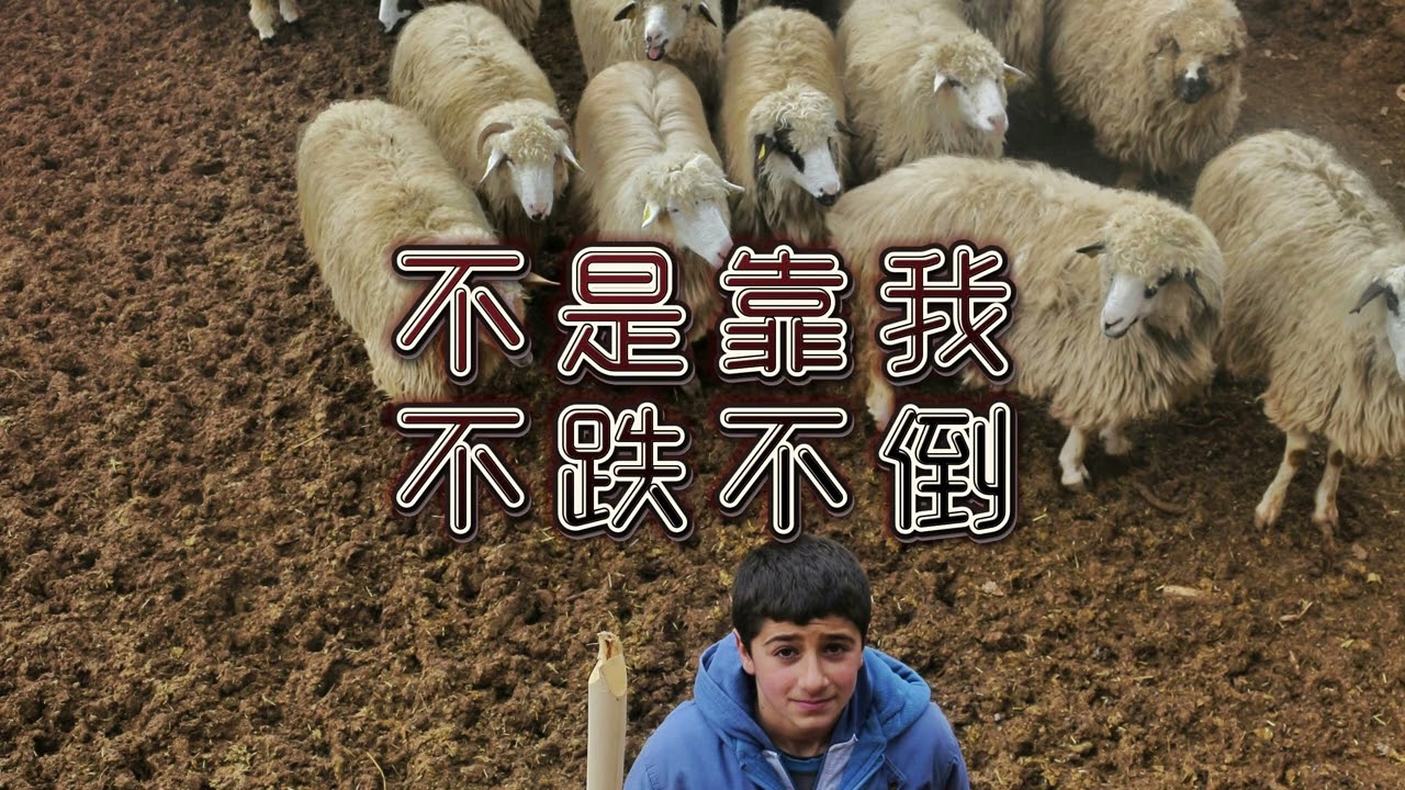 1月30日26跟从上帝一生的牧养