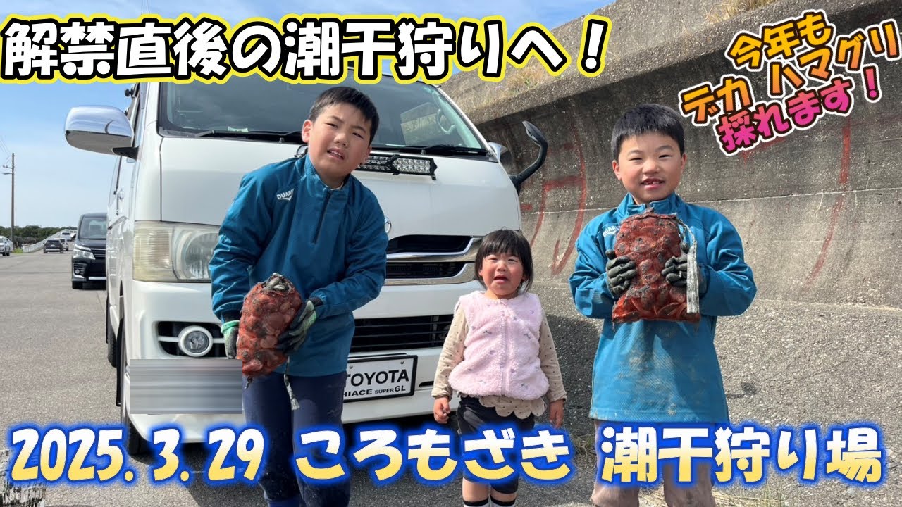 今年は子供達もデカハマグリをたくさん採ってくれました！！駐車場も無料！の潮干狩り場です☆　【愛知県潮干狩り】