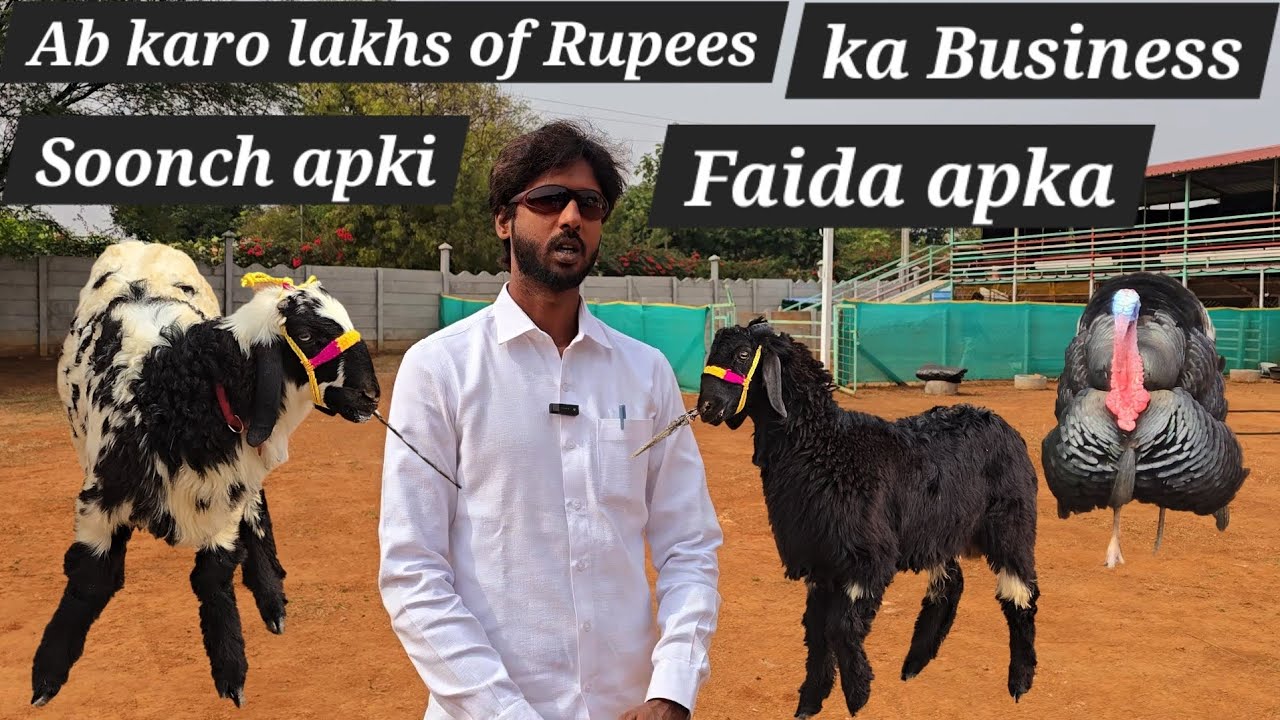 farm land available in moinabad near Hyderabad | Top beneficial business in goat farming get ready
