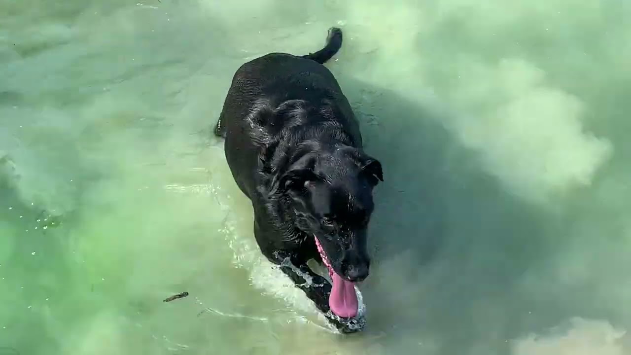 rory’s morning swim