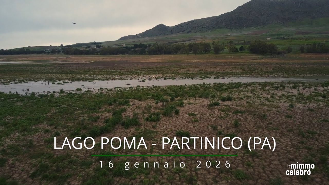 Lago Poma, Partinico (PA), 16 gennaio 2026