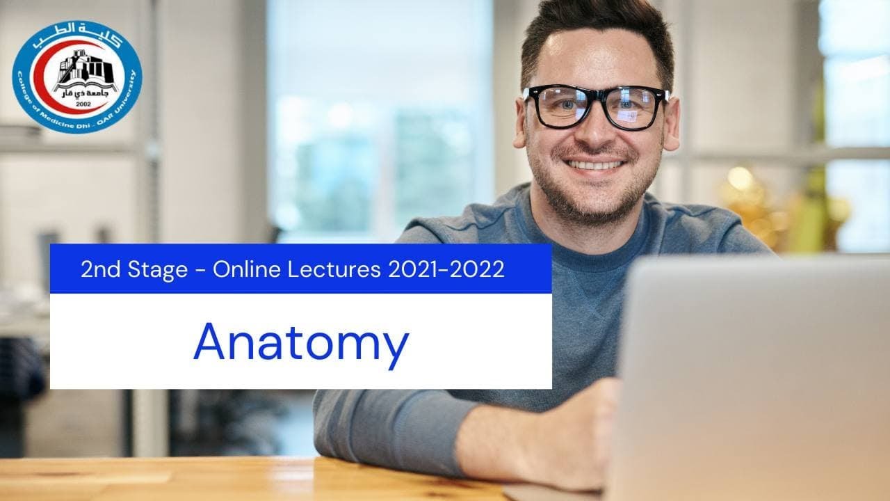 Anatomy of the Pelvis - L.4/د.ريا عبد الامير