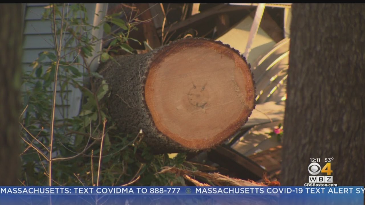 Hanover Woman's Garage Split In Half By Falling Tree