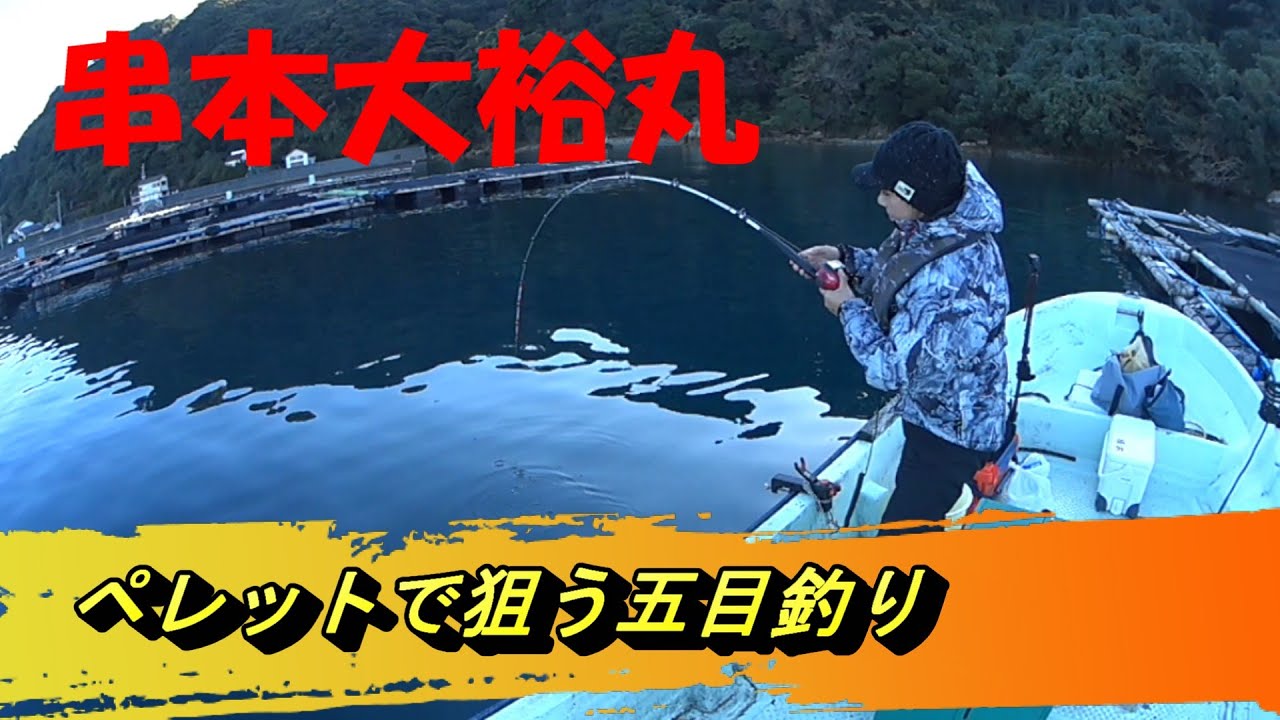 串本　大裕丸　ペレットで狙う五目釣り