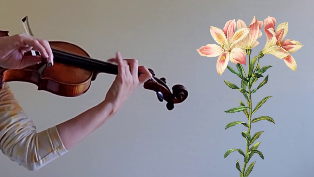 Violin Concerto in B Minor, op. 35, 1st movement (O. Rieding)