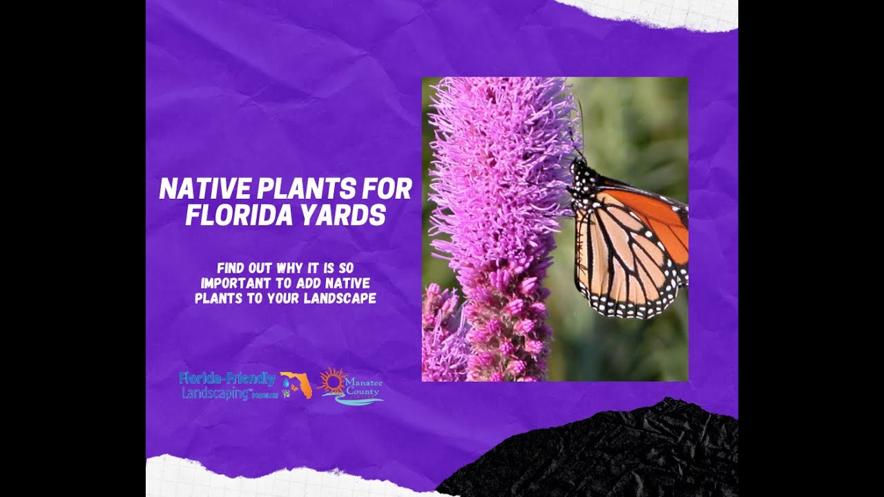 Native Plants for Florida Yards