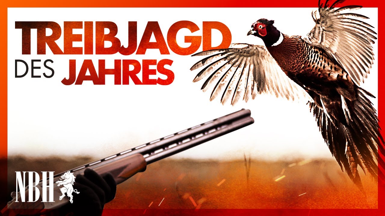 BESTE JAGD DES JAHRES!  Adrenalin-geladene Treibjagd mit Chris NBH & den 3 Hunting Brothers | Bayern