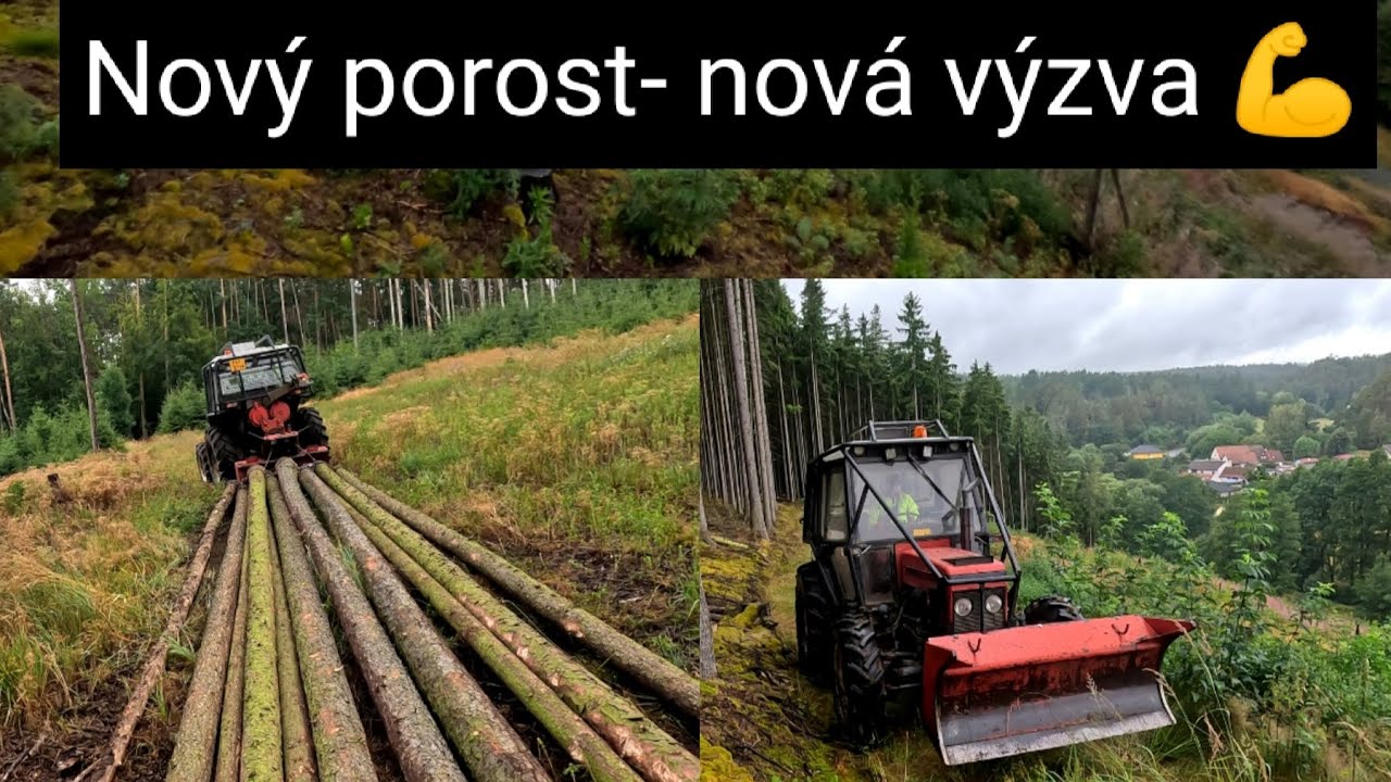Těžba dřeva, Kůrovec ve stráni, Zetor 7245, Agama aga 2, Stihl Ms 462, @jpforest8882
