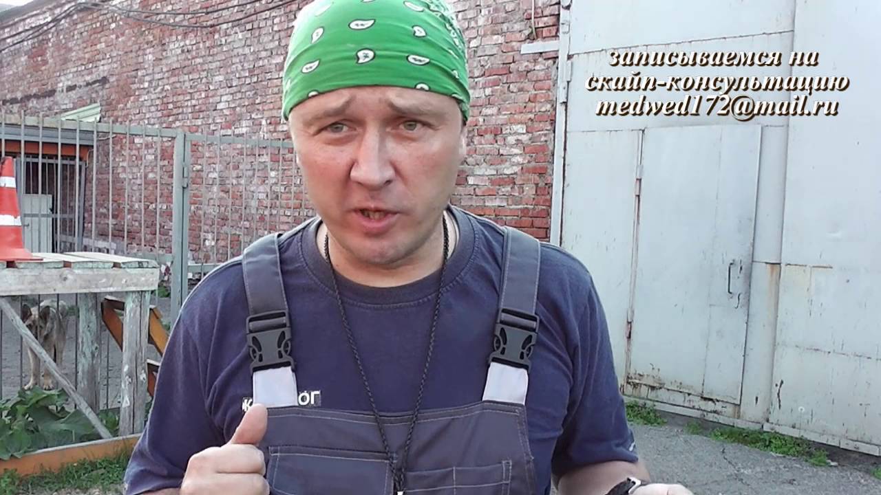Фундамент команды рядом. Чем я подкармливаю собак?!