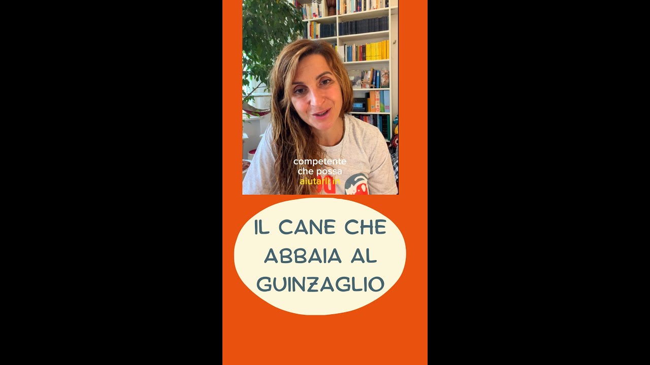 Perché il cane abbaia al guinzaglio?