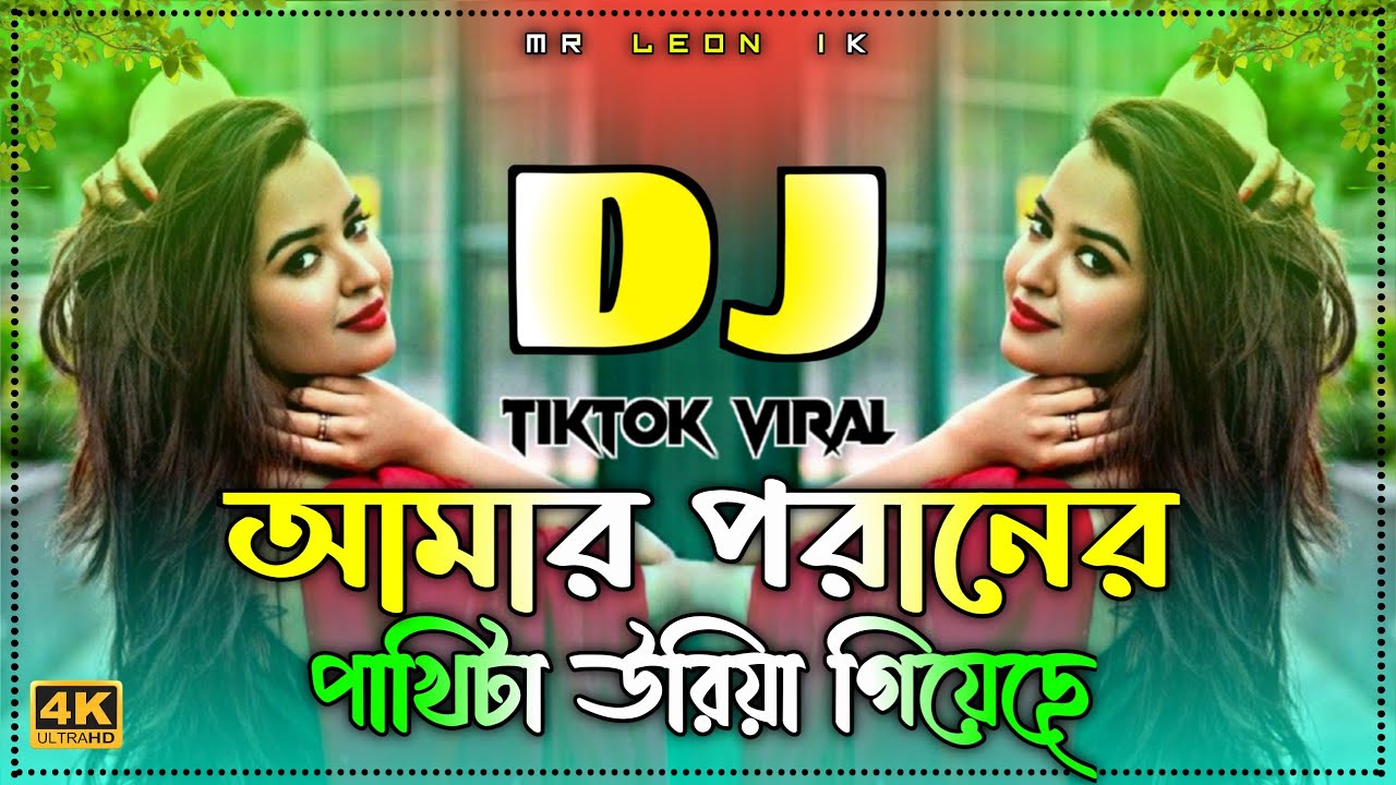 আমার পরানের পাখিটা উরিয়া গিয়েছে dj l Amar Poraner Pakhita Uriya Giyeche Dj Gan | Notun Dj Sad Song l