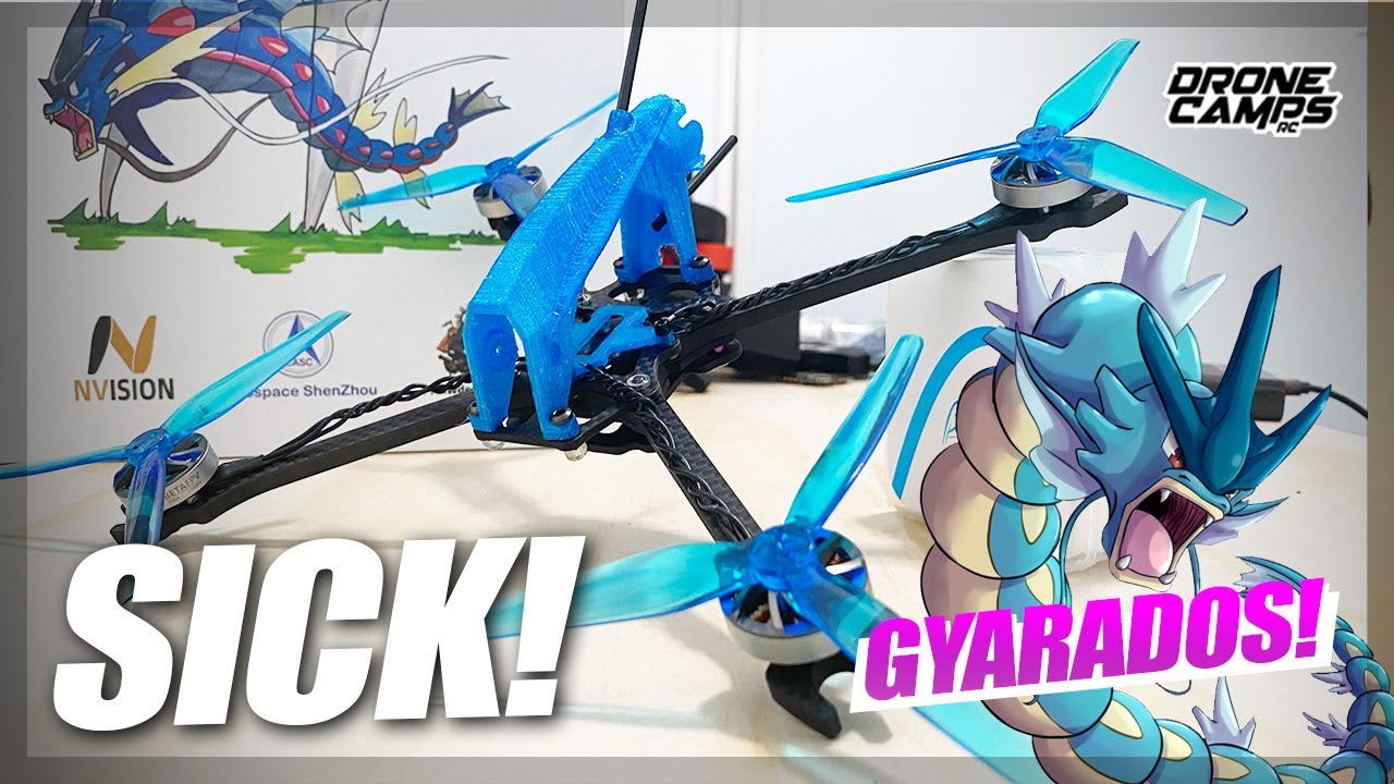 WOW ONLY $30? - Nvision Gyarados 5