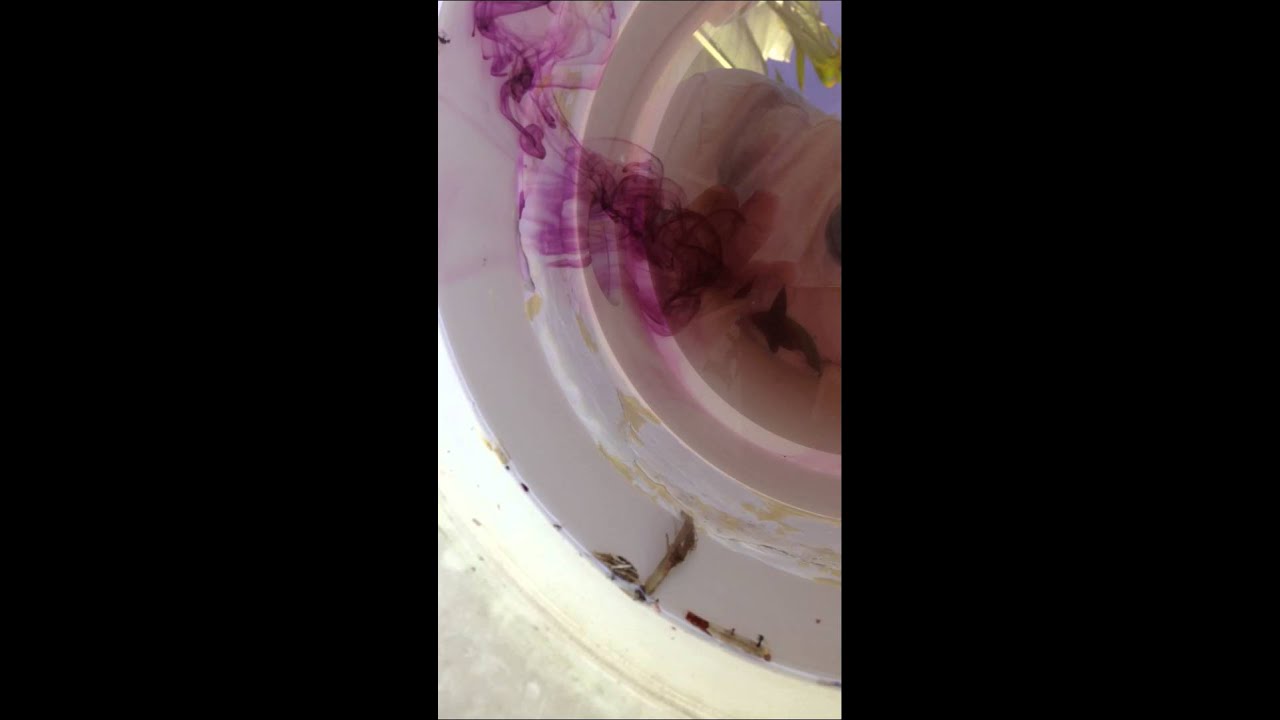 Pool Leak Dye test - skimmer FOUND!!