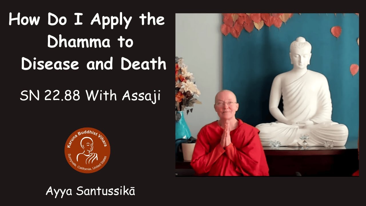 How Do I Apply Dhamma to Disease and Death SN 22 88 With Assaji | Ayya Santussikā